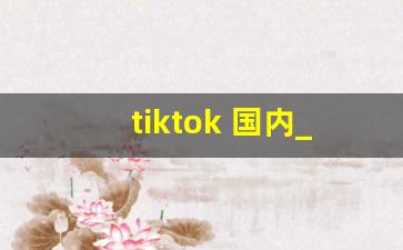 tiktok 国内_tiktok可以用wifi看吗